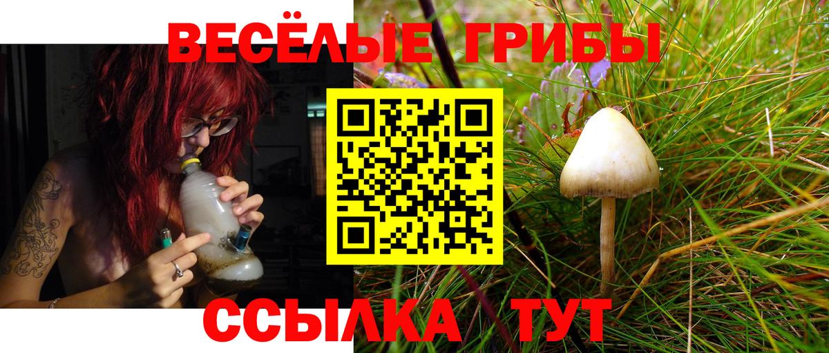 Псилоцибиновые грибы GOLDEN TEACHER Чита