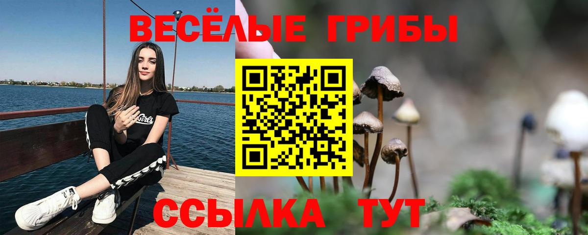 Чита  Псилоцибиновые грибы мицелий  Вход с VPN 